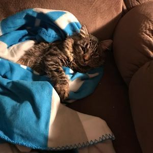 Meet your Posher, Lisa